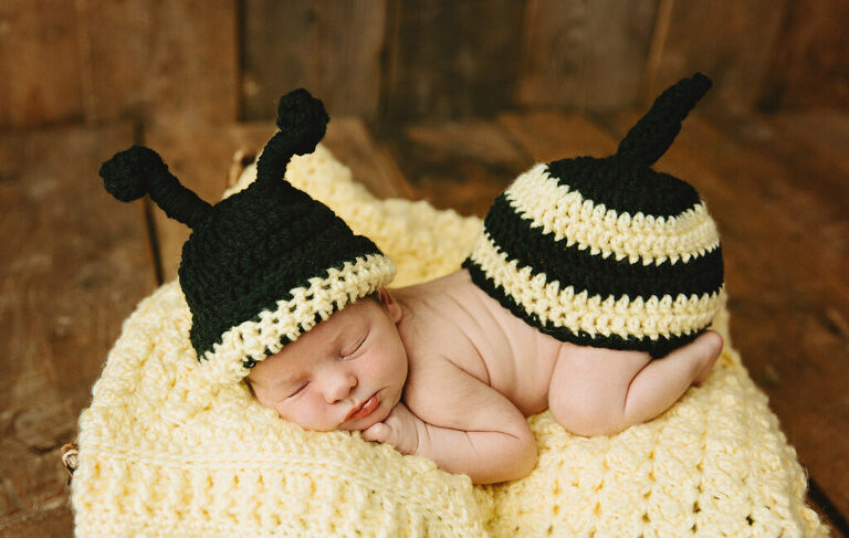 baby in a basket as a bumble bee - trinity FL newborn photographer