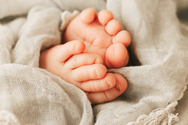 baby toes - trinity FL newborn photographer